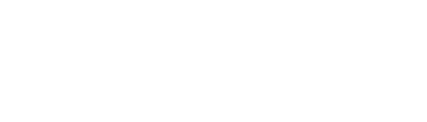 Eagle Vision Seguridad